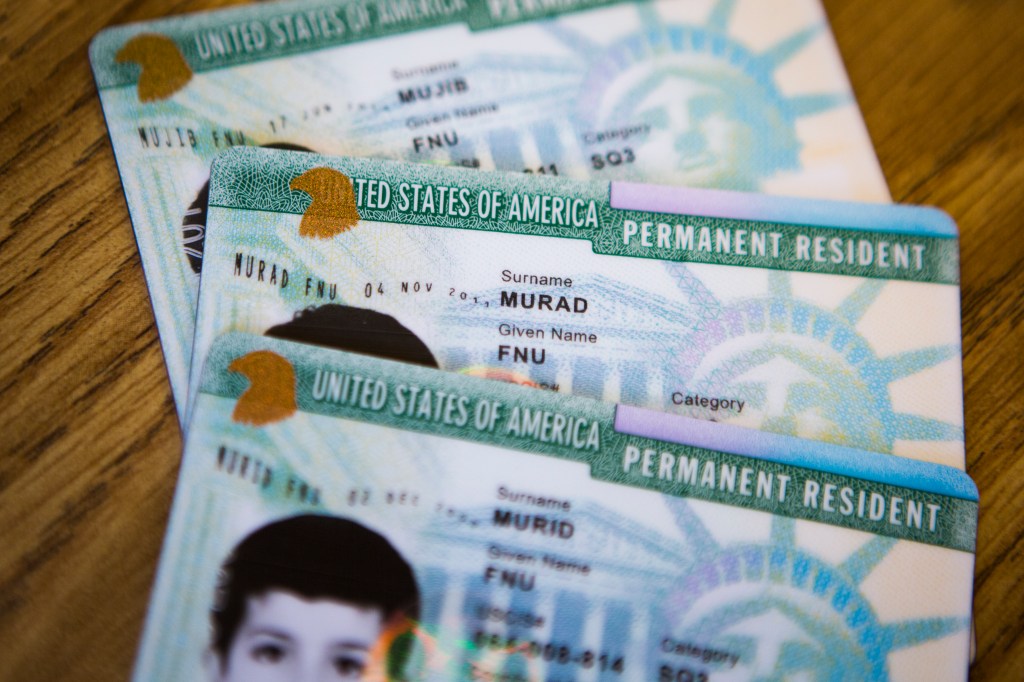 Close-up of three green cards showing "FNU" as the given name and a surname such as "MUJIB," "MURAD," or "MURID."