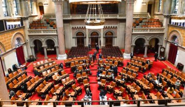 nys senate