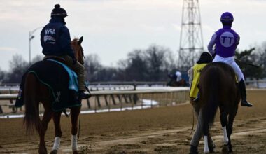 Aqueduct Racetrack’s final stretch begins as state plans future of 100-acre Queens site