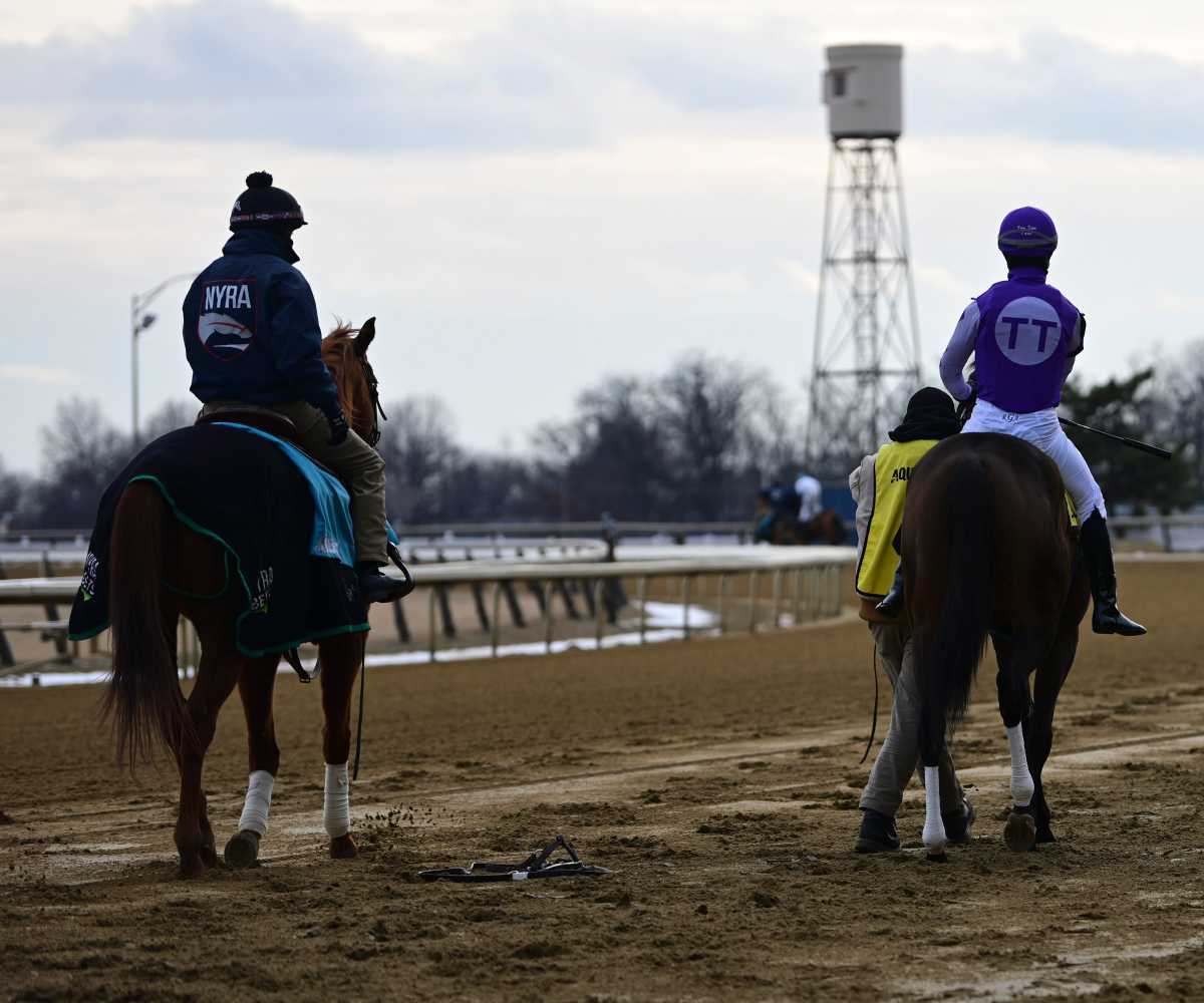 Aqueduct Racetrack’s final stretch begins as state plans future of 100-acre Queens site