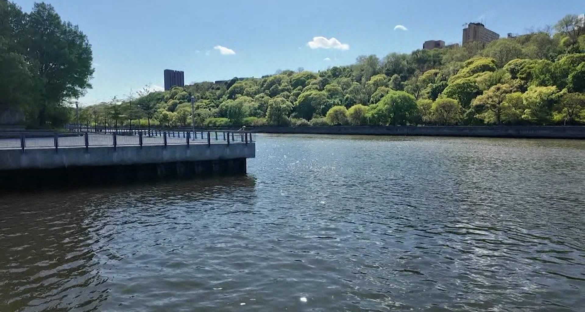 News 12 | Bronx | Community Members Call For Ferry Service In The West Bronx