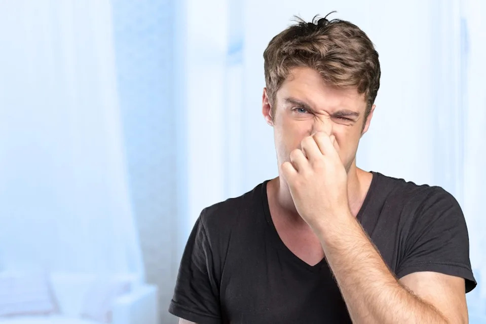This summer could very well be a full-on nasal assault in NYC. fotofabrika – stock.adobe.com