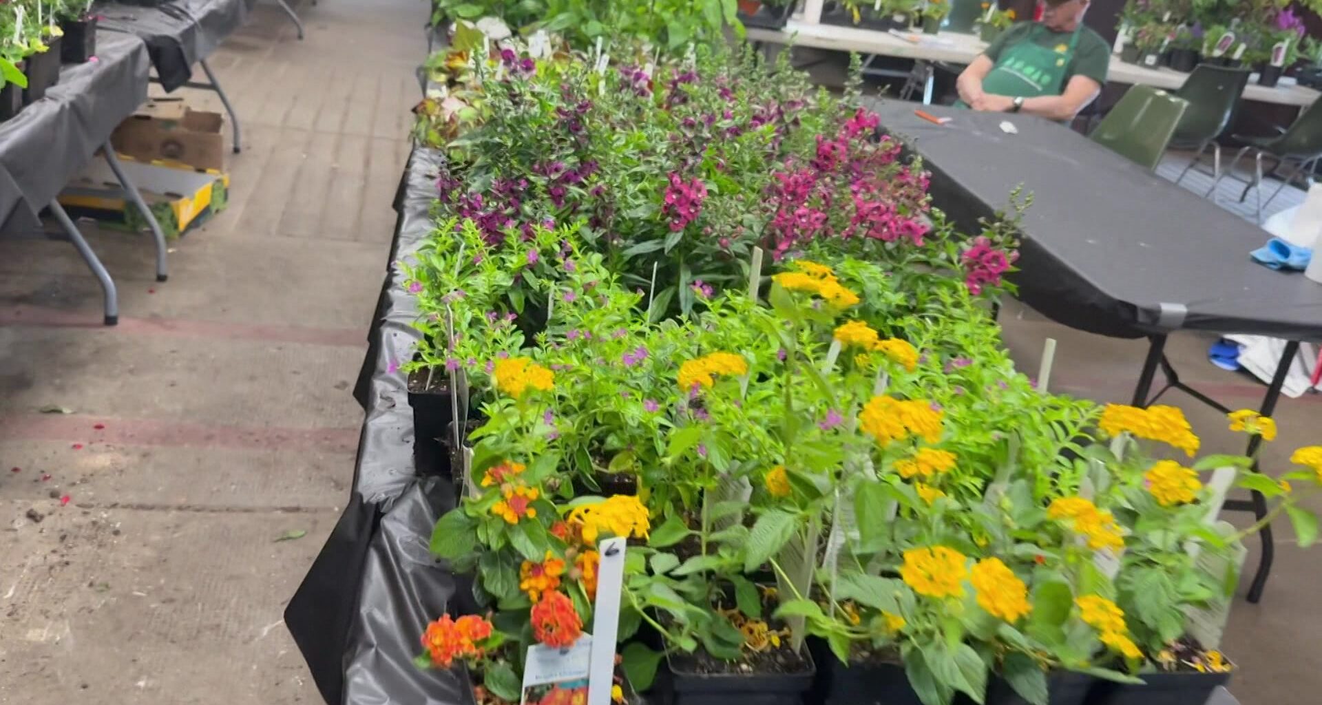 News 12 | Bronx | A Plant Sale Is Happening This Weekend At Bayard Cutting
