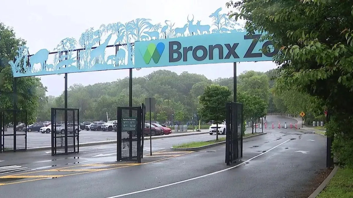 Crocodile bites zookeeper at Bronx Zoo