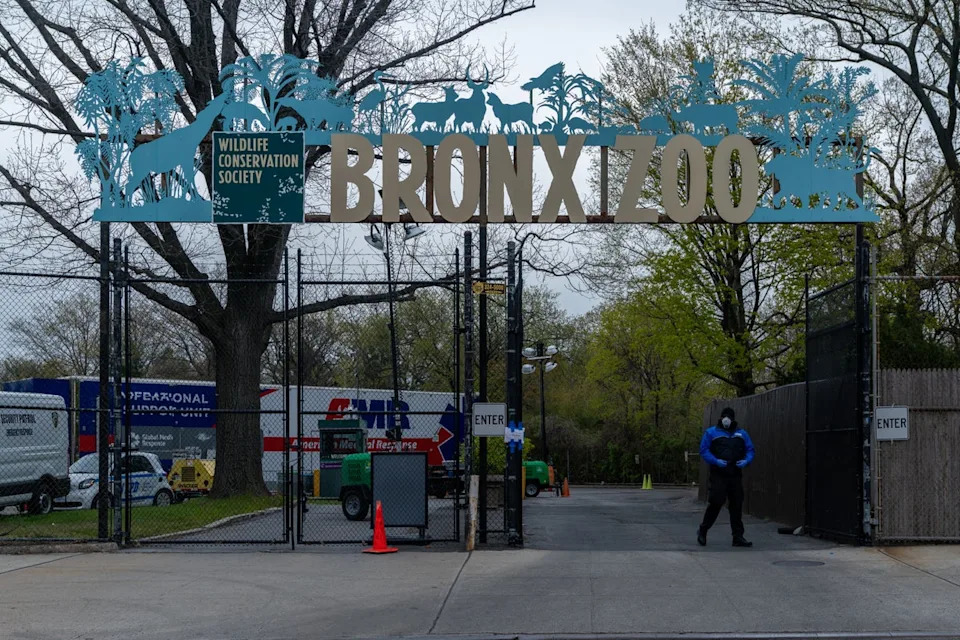 Zoo officials said Happy was assiduously cared for and had space for swimming, foraging and other natural behavior. Uprooting her from her longtime home could harm her, the zoo said (David Dee Delgado/Getty Images)