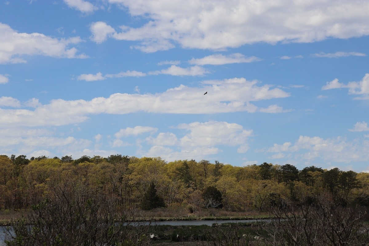 Broad Cove Preserve added to state birding trail