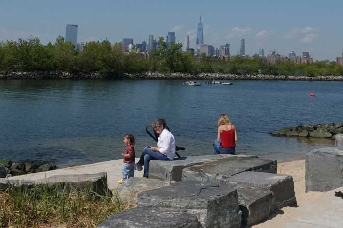 people at beach in bushwick inlet park