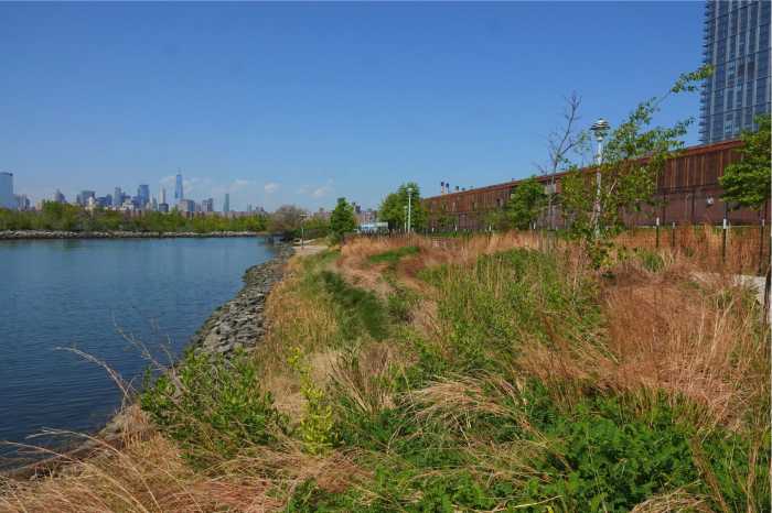 motiva bushwick inlet park