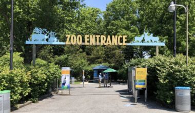 Bronx Zoo animal keeper bit by crocodile inside enclosure
