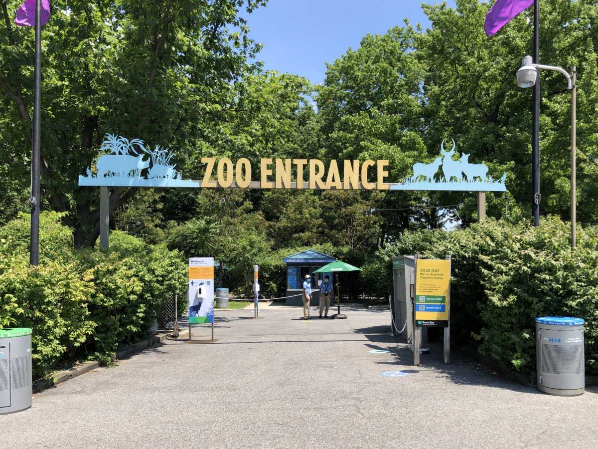 Bronx Zoo animal keeper bit by crocodile inside enclosure
