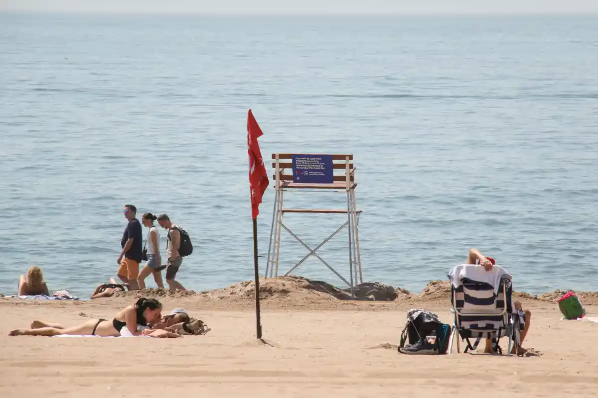 people on the beach