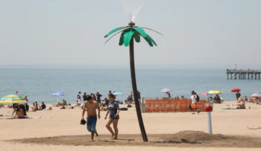 people on coney island beach