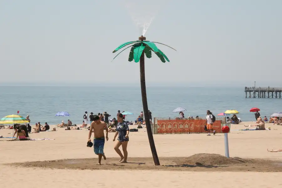 people on coney island beach