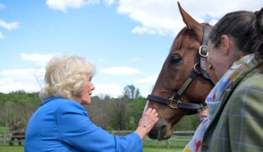 Queen Camilla Feeds Horses on Last Stop of State Visit