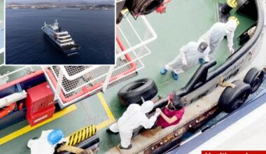 The disgusting, terrifying causes of MV Hondius cruise ship hantavirus outbreak