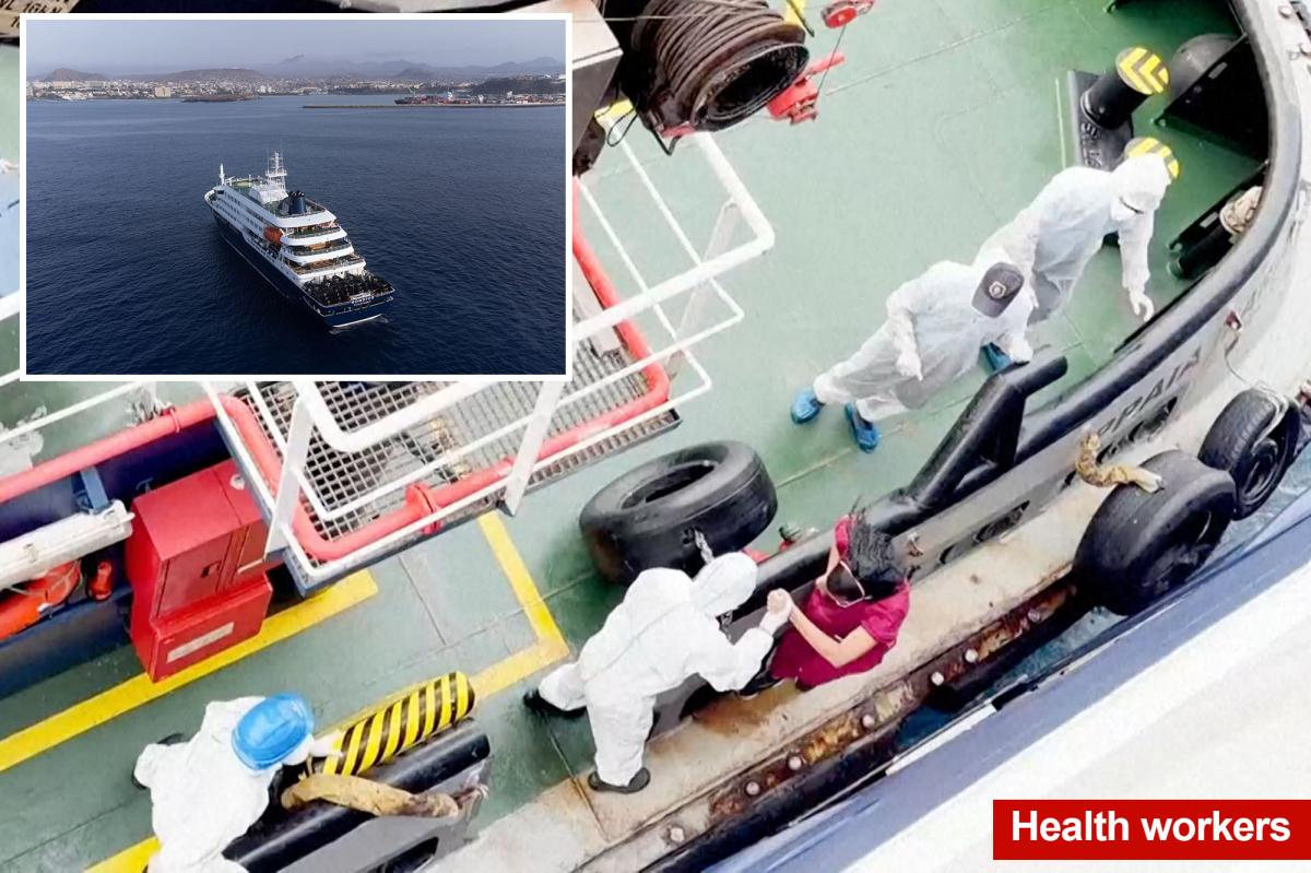 The disgusting, terrifying causes of MV Hondius cruise ship hantavirus outbreak