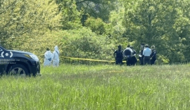 Possible human remains found near park in Queens: police