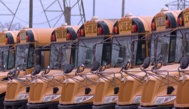 a row of school buses