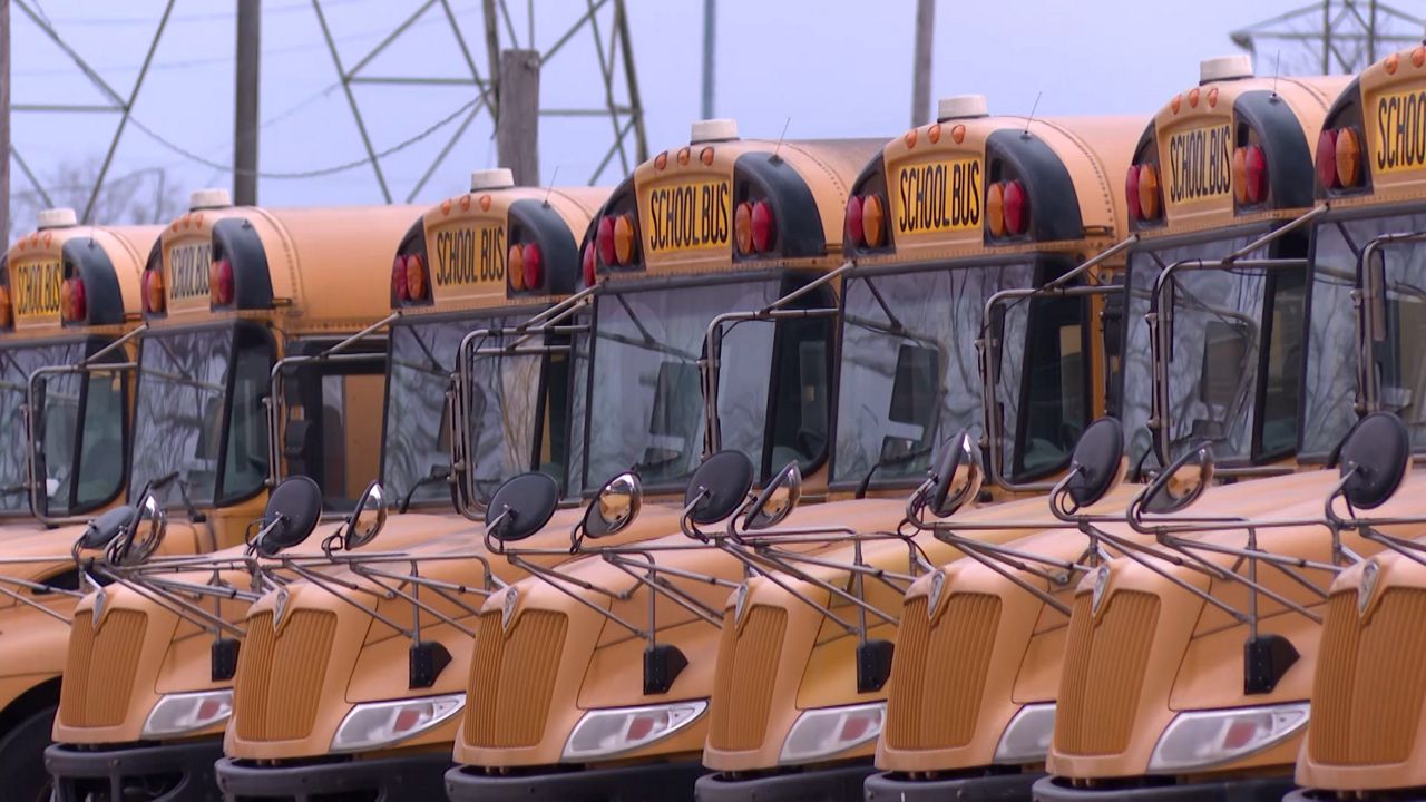 a row of school buses