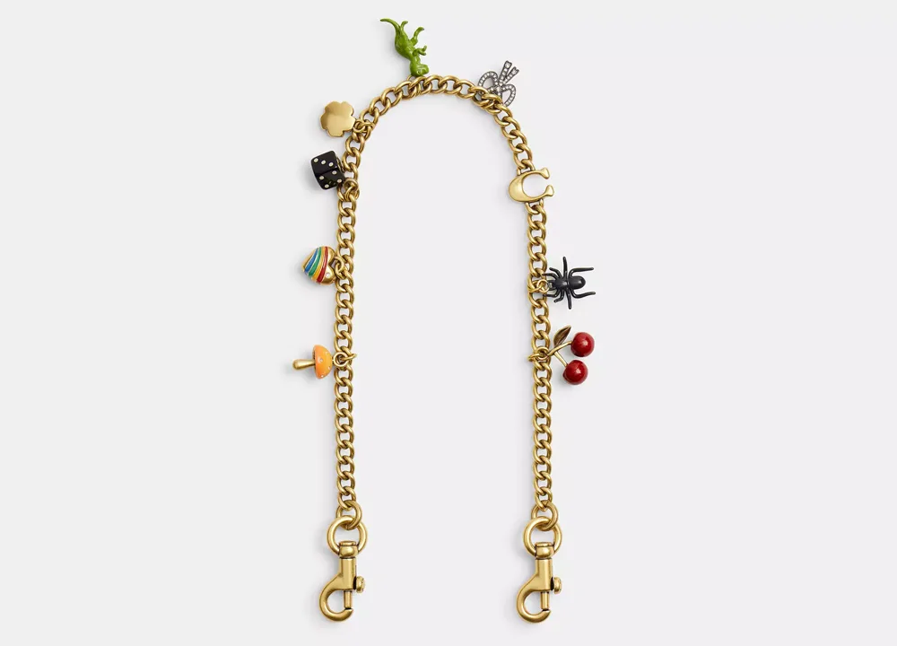 Coach Chain Strap with Charms