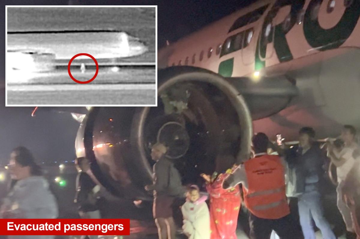 Grim details in death of trespasser mutilated by Frontier Airlines jet engine at Denver Airport revealed by officials