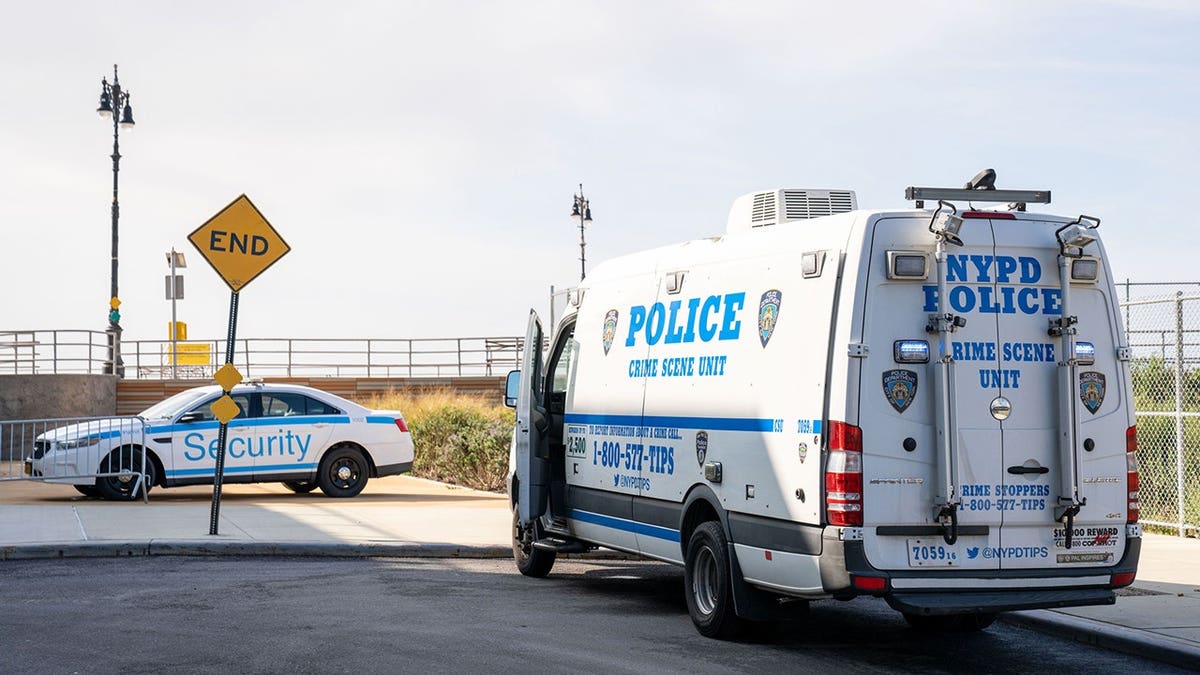 Erin Merdy was taken into custody after she reportedly drowned and killed her three children in the waters off Coney Island Beach