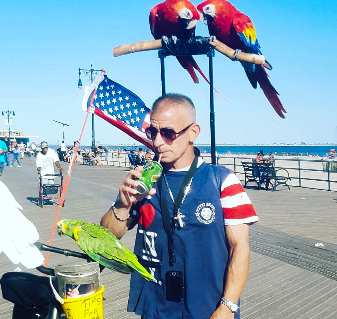 Will Bird Sale Ban Take Flight in New York?