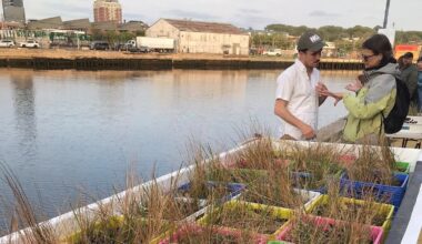 Meet TINA, a Tank Full of Mussels Helping to Clean Up Newtown Creek