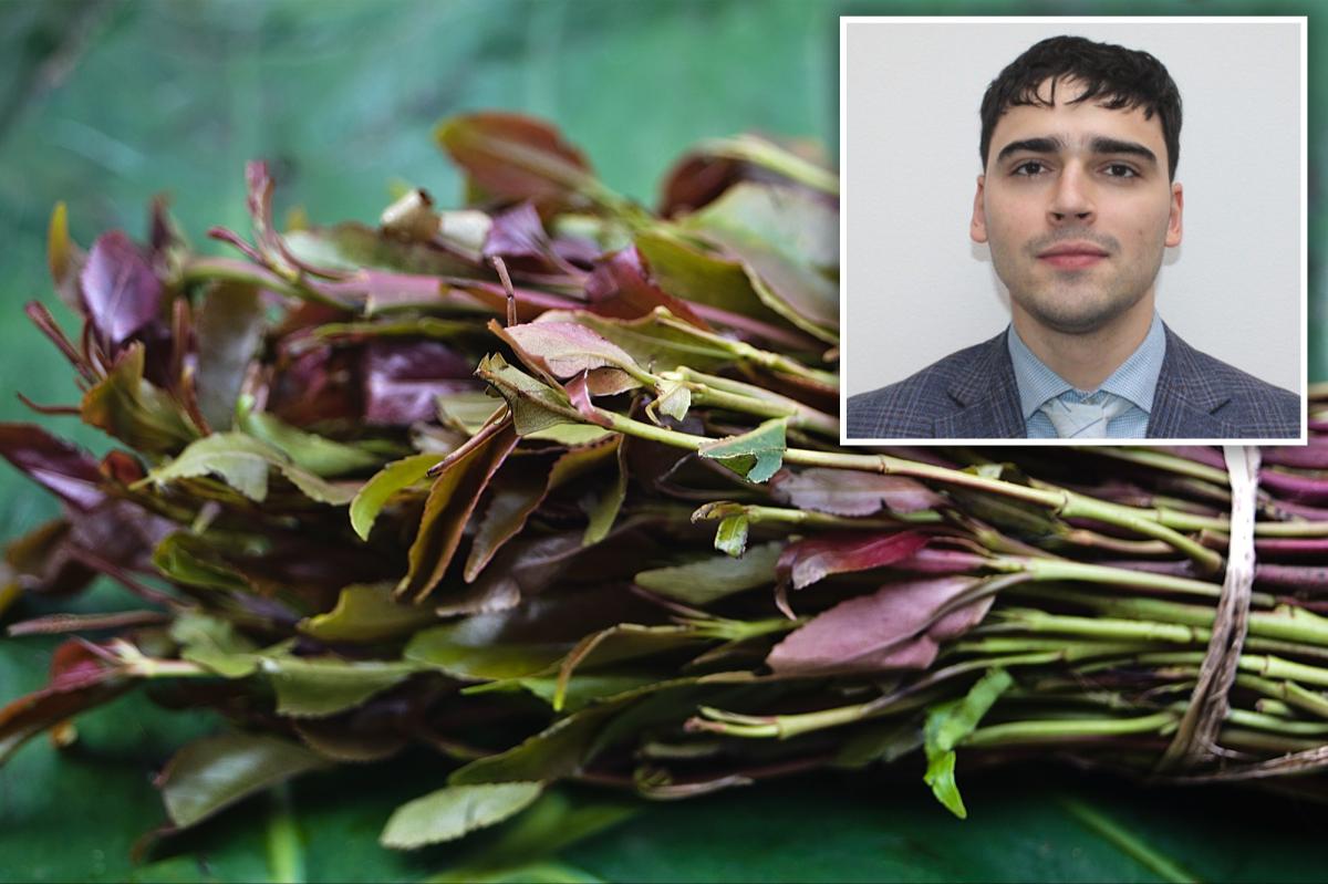 Khat user accuses NYC cops of illegal cavity search of his mouth: police union