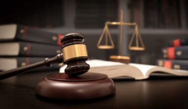 NYC man accused of killing family cat out of rage: DA