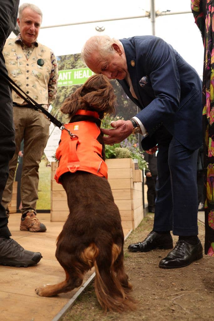 Britain's King Charles III on the press day ahead of the 2026 RHS Chelsea Flower Show in London on May 18, 2026