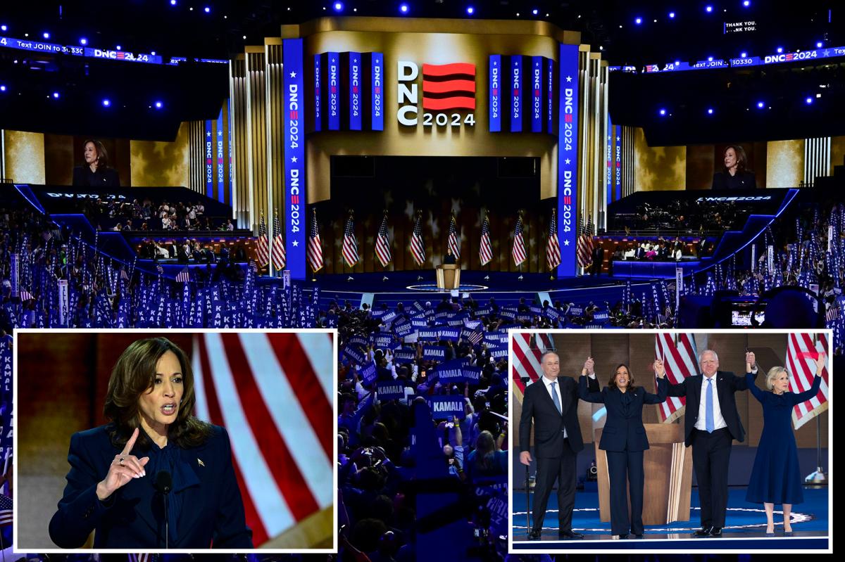 DNC 'autopsy' of 2024 defeat says Biden loyalists neglected Kamala Harris