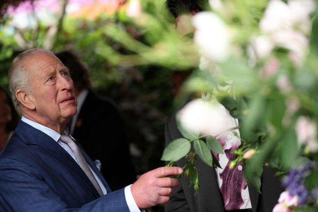 Britain's King Charles III looks at a display of The King's Rose, by David Austin Roses, on the press day ahead of the 2026 RHS Chelsea Flower Show at The Royal Hospital Chelsea on May 18, 2026 in London, England
