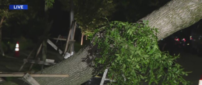 Storm brings down trees, causes flooding in Brooklyn