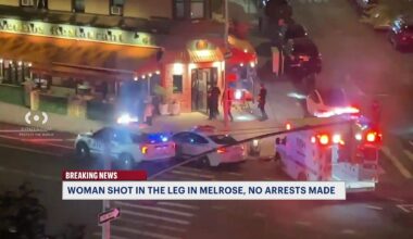 News 12 | Bronx | Woman Shot In The Leg In Melrose