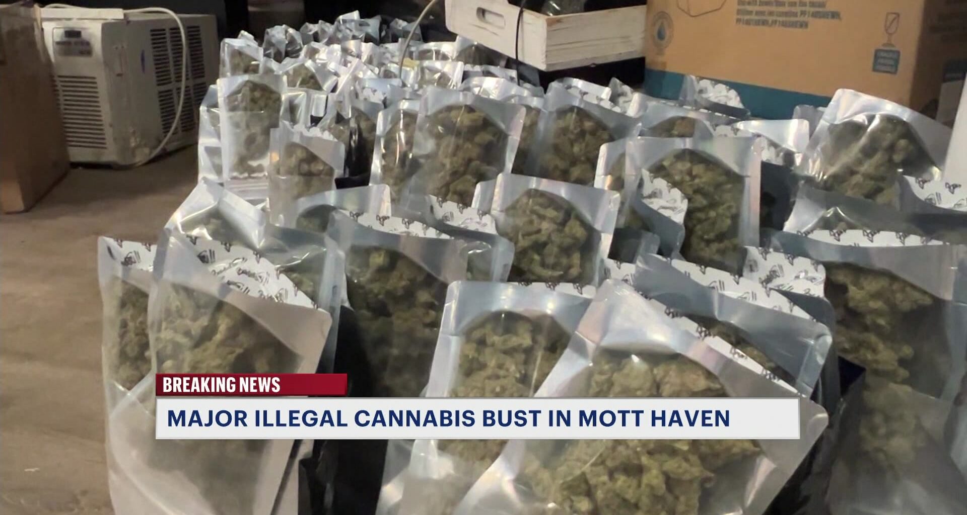 News 12 | Bronx | Illegal Mott Haven Cannabis Shop Raided For A Third Time