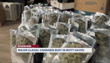 News 12 | Bronx | Illegal Mott Haven Cannabis Shop Raided For A Third Time