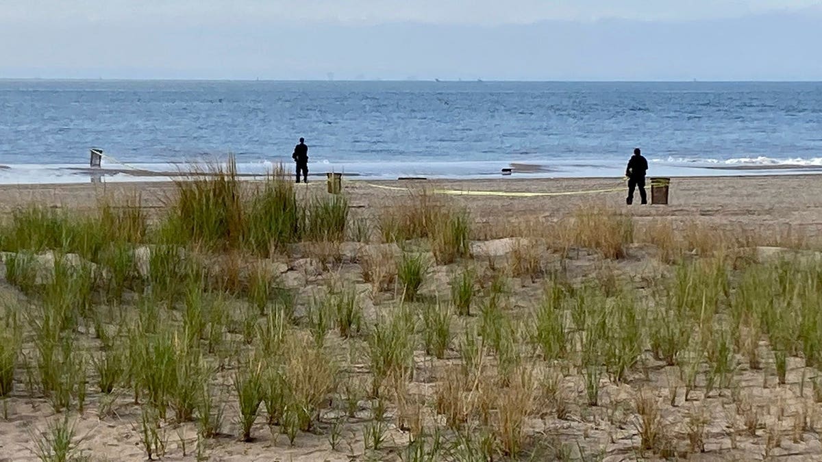 New York Police investigators examine a stretch of beach at Coney Island