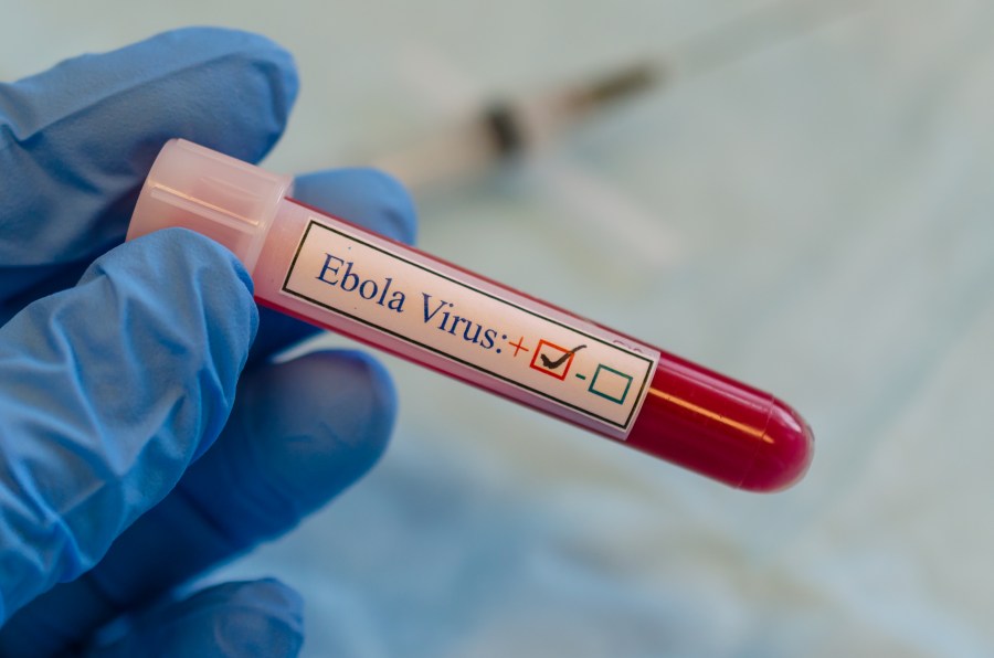 NYC airport to begin enhanced Ebola screenings: What to know