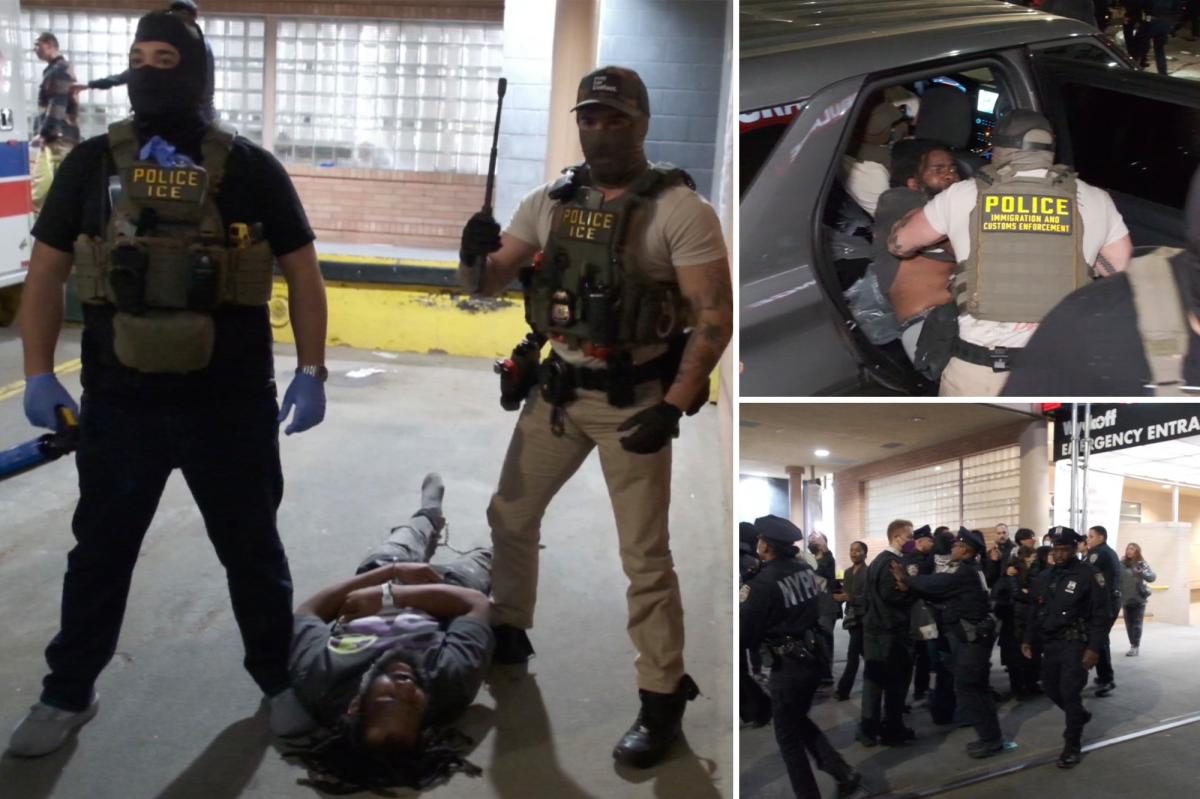 NYC hospital mob was defending illegal migrant with alleged violent, drug past