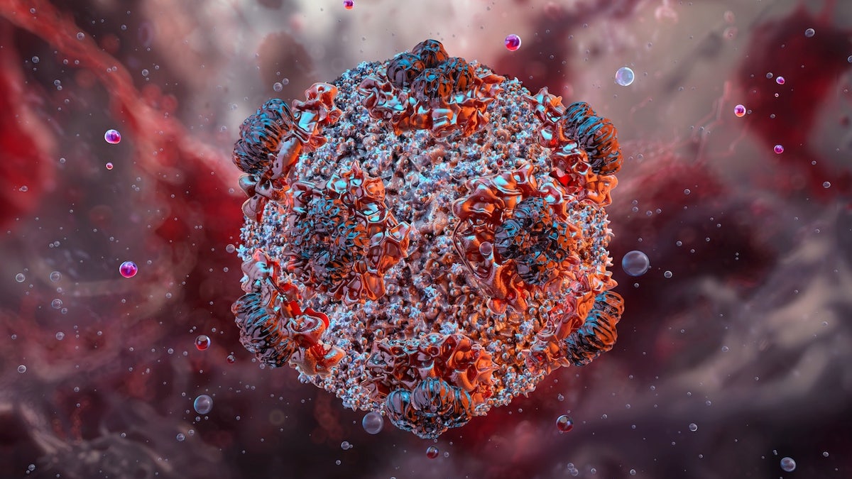 3D illustration of hantavirus structure showing viral particles