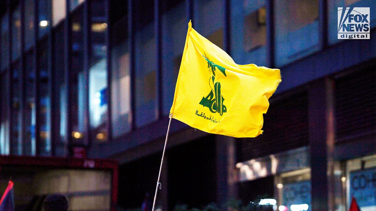 Demonstrator holds Hezbollah flag