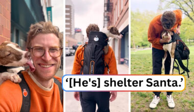 Man walks around NYC with shelter dogs in his backpack to help them find homes