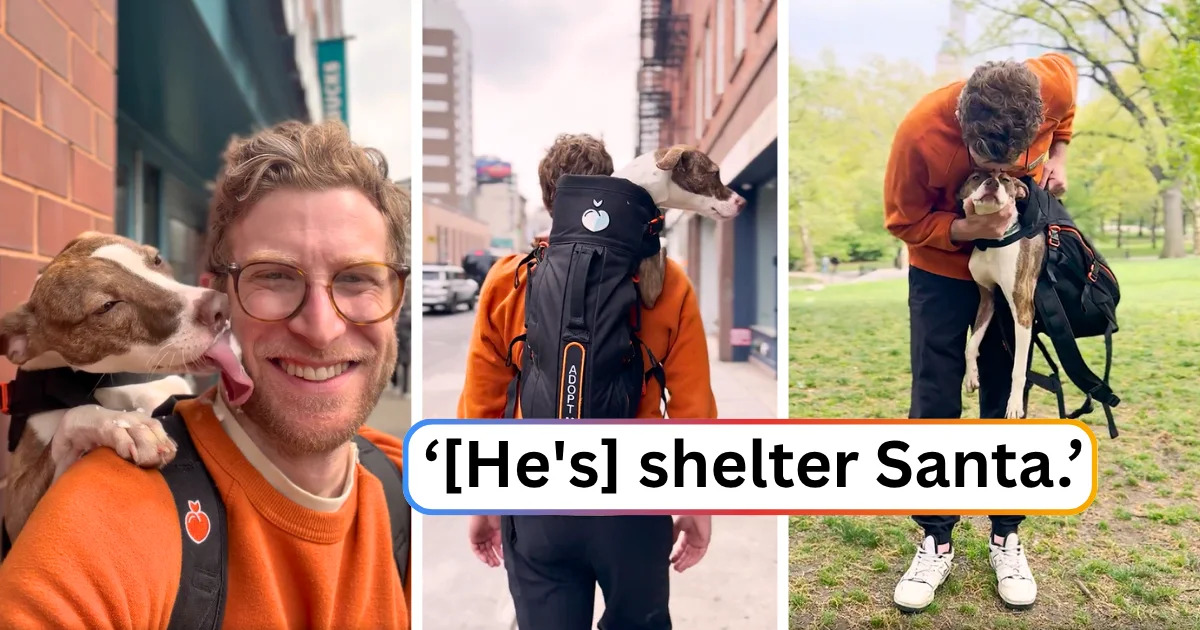 Man walks around NYC with shelter dogs in his backpack to help them find homes