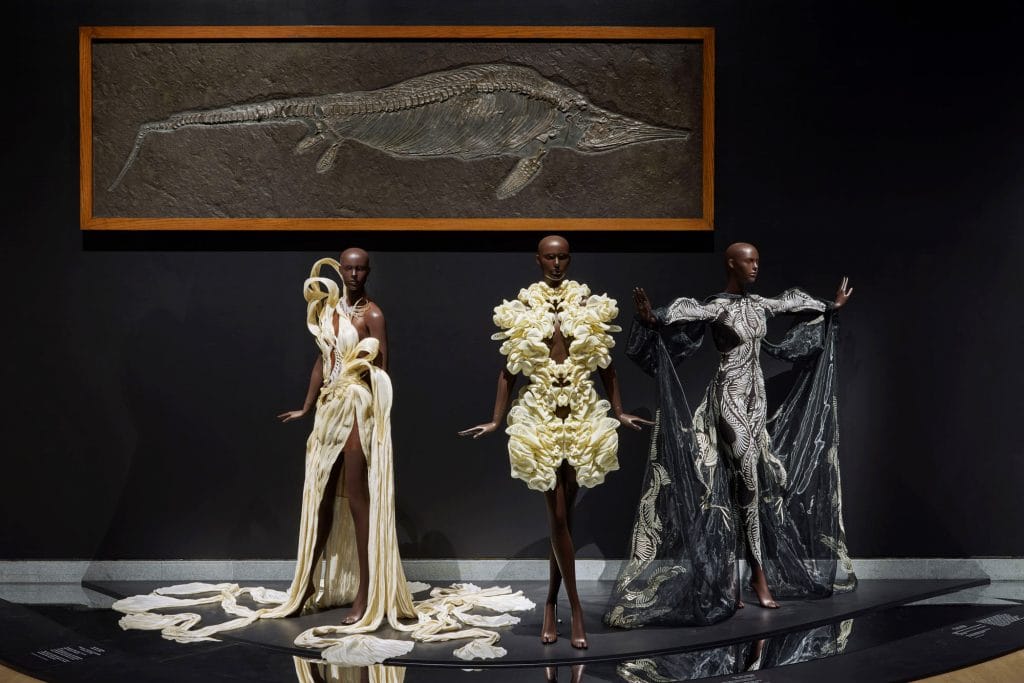 Three avant-garde dresses displayed beneath marine reptile fossil in dramatic darkened museum exhibition gallery setting.