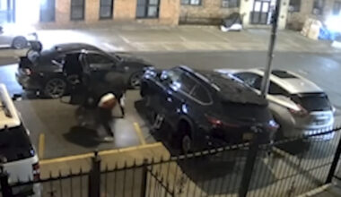 Busted Bronx Auto Part Theft Ring Operated 'Like A Race Car Pit Crew In The Dead Of Night'