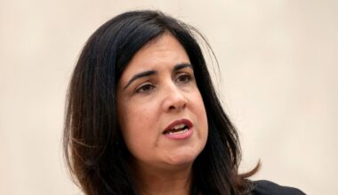 Malliotakis leaves House caucus after failed museum vote