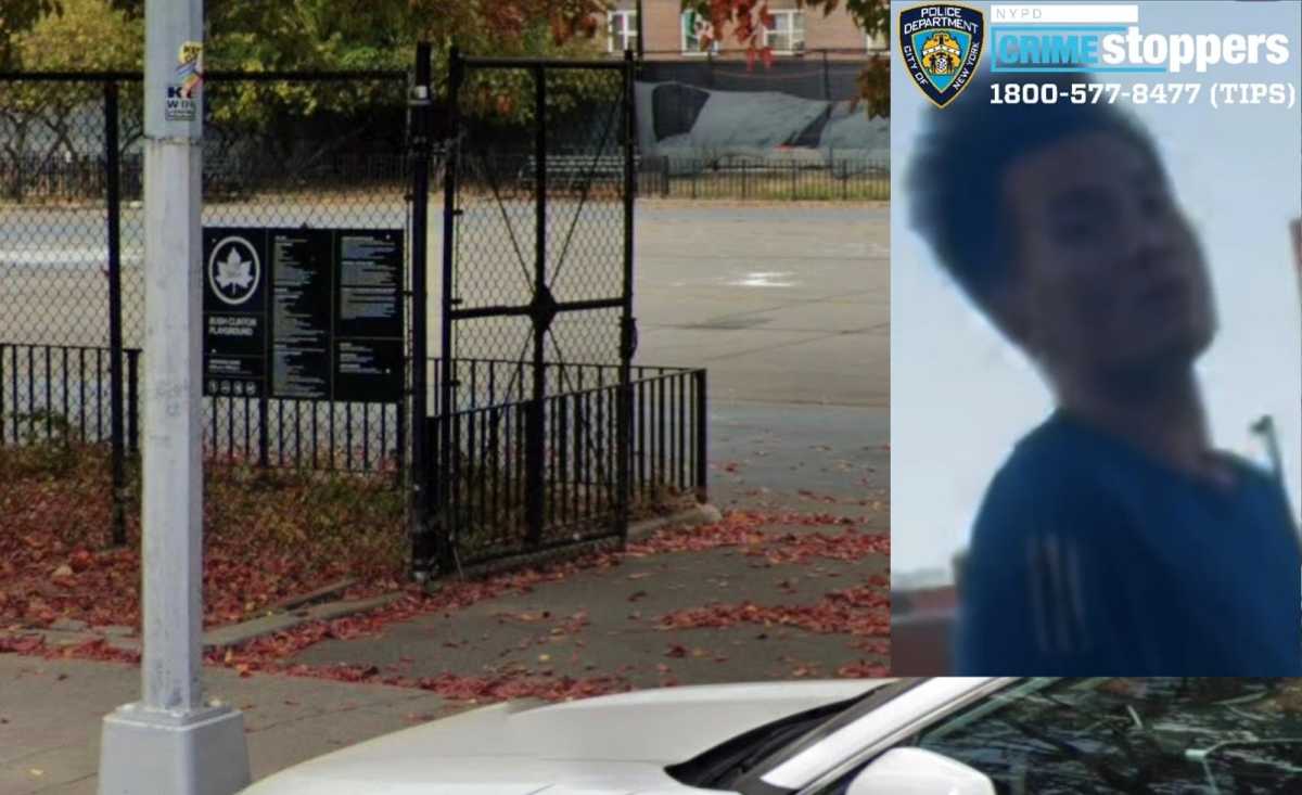Maniac strangles 7-year-old boy in Brooklyn park: cops
