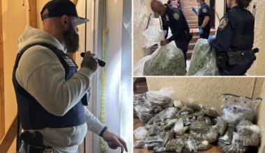 Police unearth 300 pounds of illegal marijuana in NYC building
