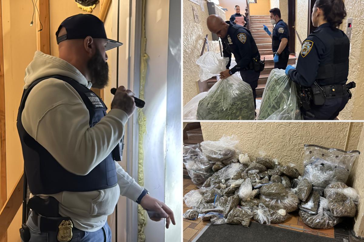 Police unearth 300 pounds of illegal marijuana in NYC building